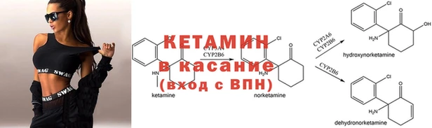 прущие грибы Абинск